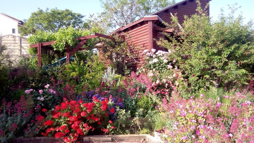 Hahar Aatzil Villa Hazon Ngoại thất bức ảnh